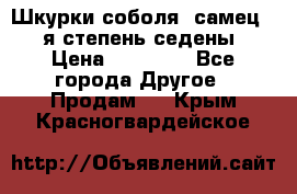 Шкурки соболя (самец) 1-я степень седены › Цена ­ 12 000 - Все города Другое » Продам   . Крым,Красногвардейское